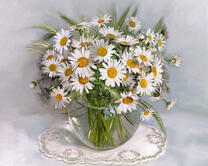 Без бренда «2KMA-0021» в Махачкала