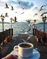 Без бренда «2KMB-1952» в Махачкала