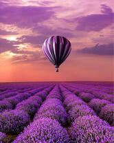 Без бренда «2KMB-4091» в Махачкала