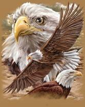 Без бренда «2KMB-4315» в Махачкала