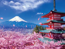 Без бренда «2KSB-7277» в Махачкала