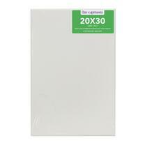 Без бренда «Коробка 80 шт.: Холст Две картинки на подрамнике 20X30» в Махачкала