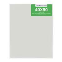 Без бренда «40 холстов! Коробка 20 шт.: 20 наборов по 2 шт. холст Две картинки на подрамнике 40X50 (всего 40 холстов)» в Махачкала