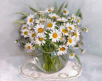 Без бренда «BOX20-2KMA-0021» в Махачкала