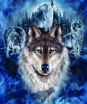 Без бренда «BOX40-2KXSB-0687» в Махачкала