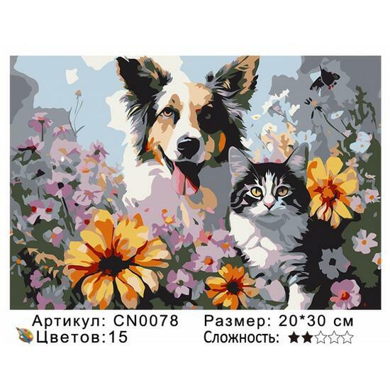 Картина по номерам 20x30 CN0078