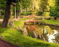 Деревянный мостик среди парка