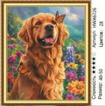 Без бренда «HWA6726» в Махачкала