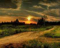 Без бренда «Проселочная дорога на закате» в Махачкала