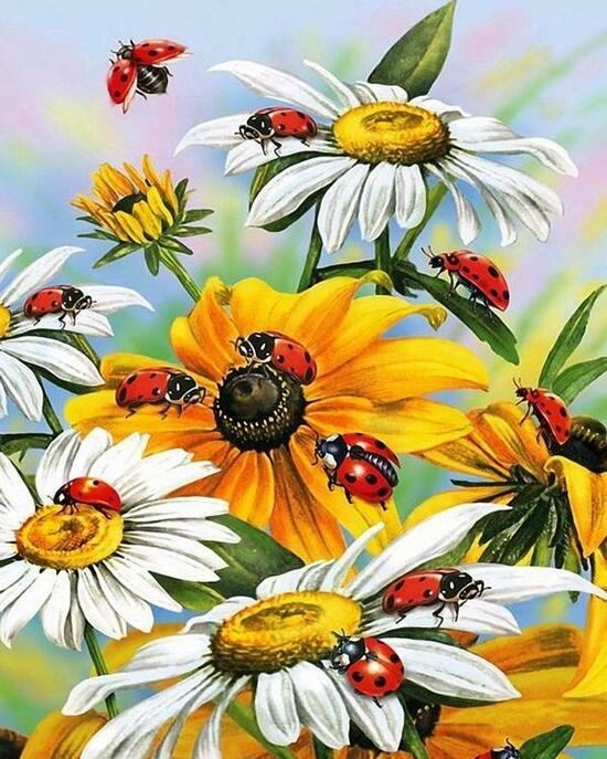 Картина по номерам 40x50 Божьи коровки на ромашках