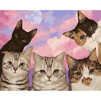 Без бренда «Такие разные котики» в Махачкала