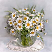 Без бренда «Букет свежих ромашек» в Махачкала