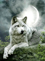 Без бренда «Коробка 25 шт. картин по номерам BOX25-GX21058» в Махачкала