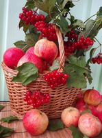 Без бренда «Коробка 25 шт. картин по номерам BOX25-GX5174» в Махачкала