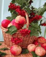 Без бренда «Плетёная корзина с калиной и яблоками» в Махачкала