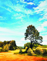 Без бренда «Осенний пейзаж с голубым небом» в Махачкала в интернет-магазине  Без бренда «Осенний пейзаж с голубым небом» в Махачкала