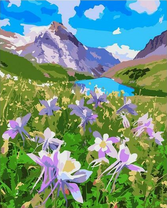 Фиолетовые цветы и вид на гору