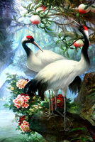 Без бренда «Коробка 25 шт. картин по номерам BOX25-GX29399» в Махачкала в интернет-магазине  Без бренда «Коробка 25 шт. картин по номерам BOX25-GX29399» в Махачкала