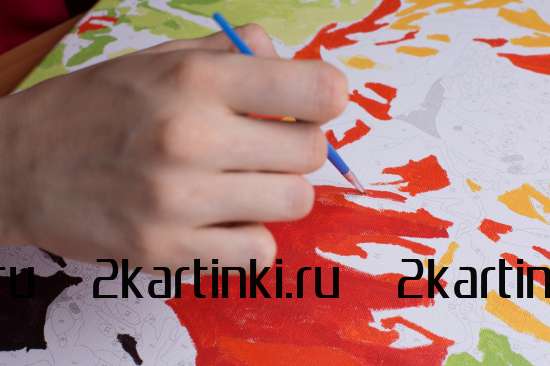Картина по номерам 40x50 BOX25-GX21058 Коробка 25 шт. картин по номерам BOX25-GX21058 за 16375 руб.  в интернет-магазине  Картина по номерам 40x50 Коробка 25 шт. картин по номерам BOX25-GX21058