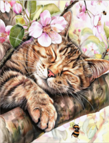 Без бренда «Волосатый котик спит на ветви яблони» в Махачкала в интернет-магазине  Без бренда «Волосатый котик спит на ветви яблони» в Махачкала